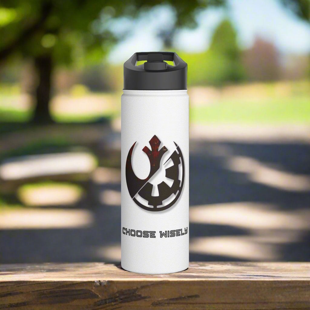 Choose Wisely Stainless Steel Water Bottle, Standard Lid