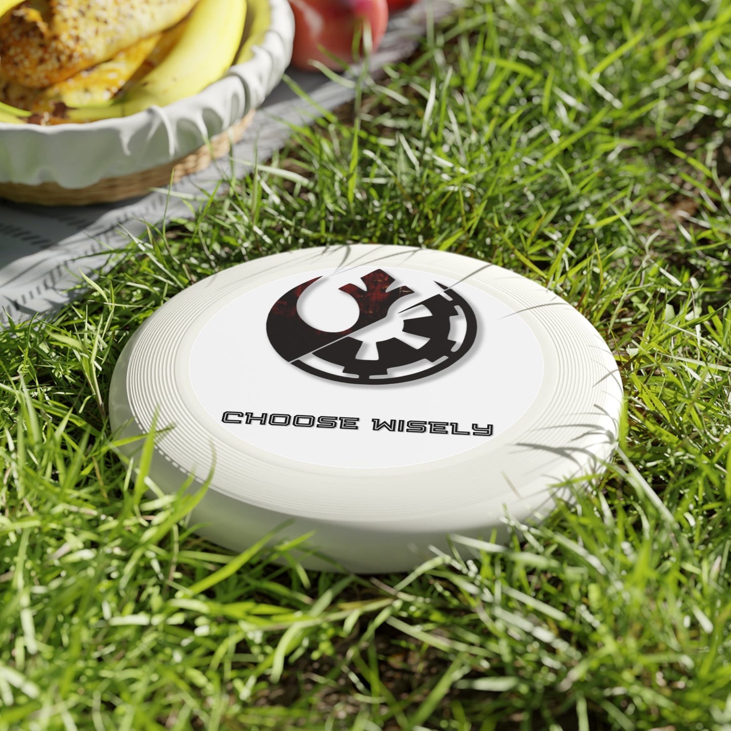 Choose Wisely Wham-O Frisbee