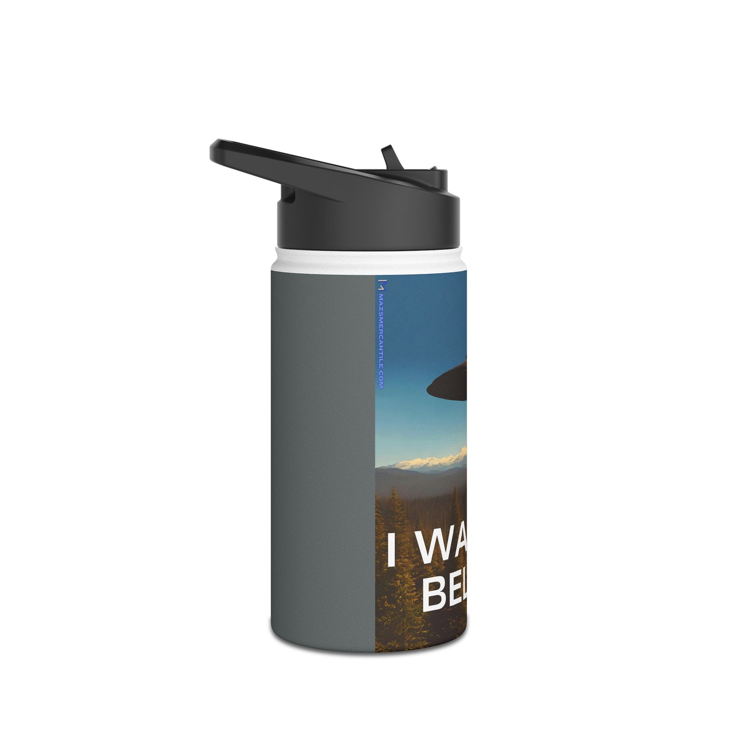 I Want To Believe Stainless Steel Water Bottle, Standard Lid