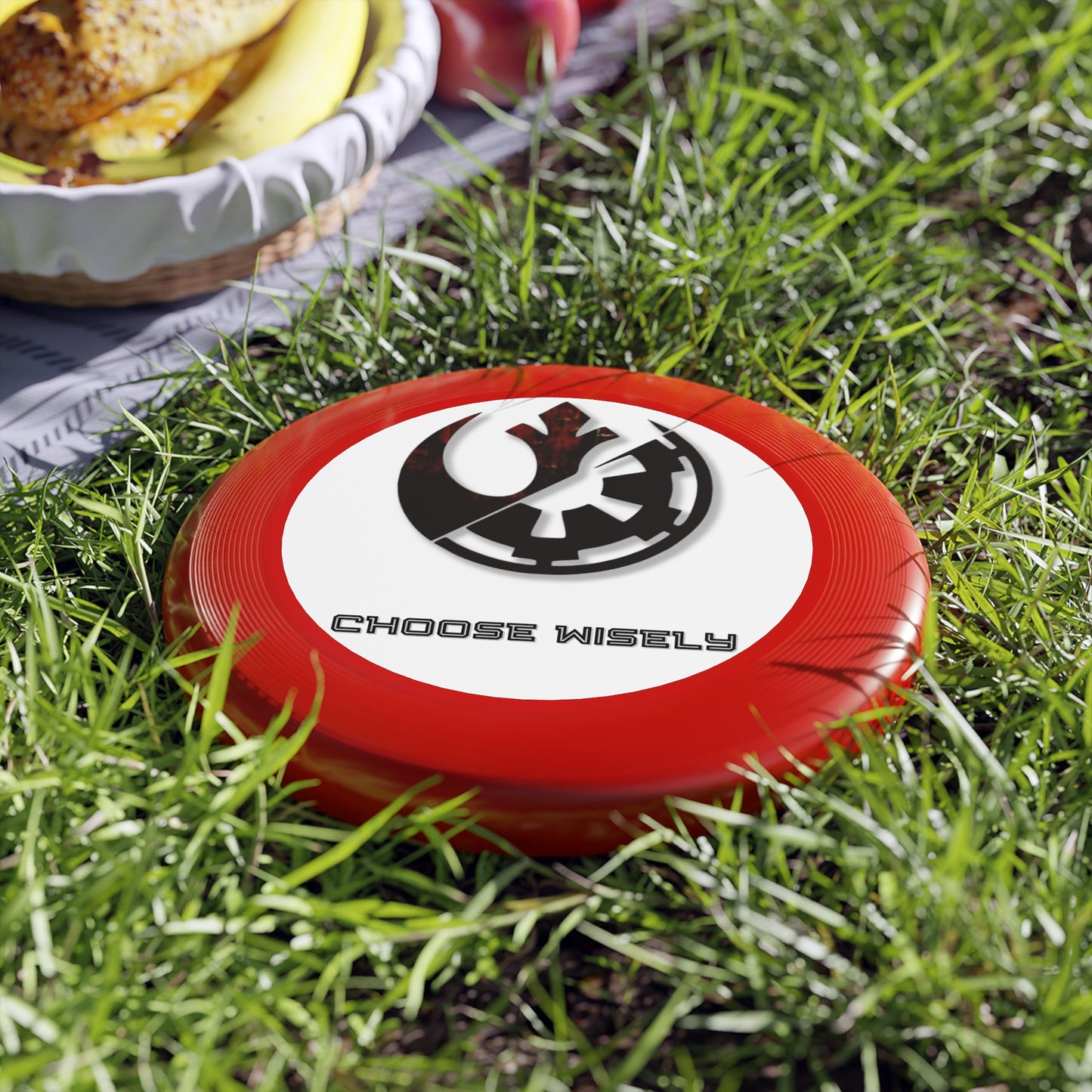 Choose Wisely Wham-O Frisbee